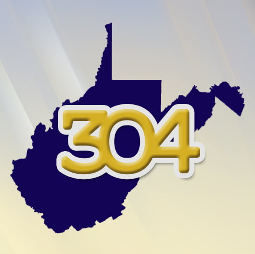 Team 304 Logo with Background
